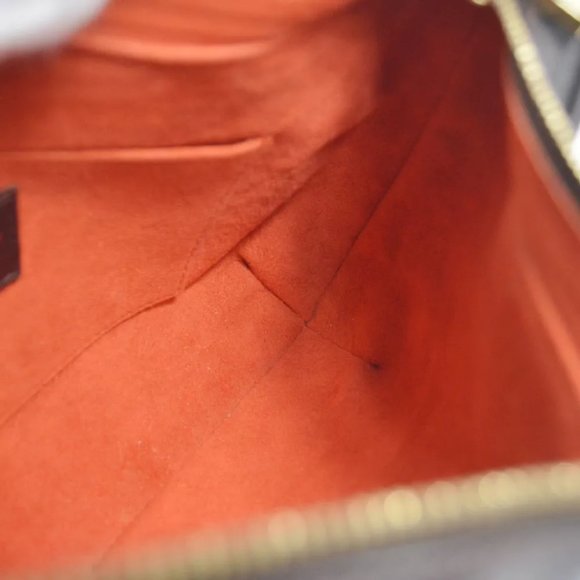 Louis Vuitton Damier Sauvage Tiger Handbag - Picture 7 of 11